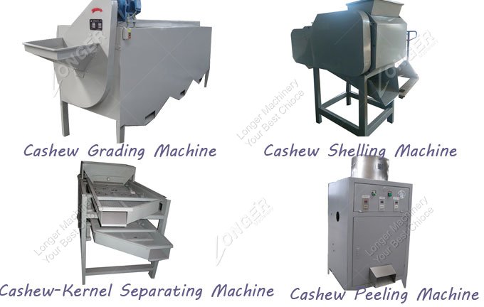 Fully Automatic Raw Cashew Nut Processing Machine Unit Manufacturer 